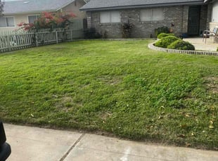 Rebecca S.'s Long Grass Cleanup service result