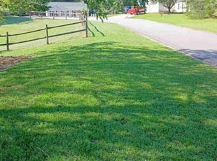Trenton A.'s lawn maintenance service result
