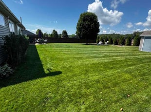 Mary F.'s grass maintenance service result