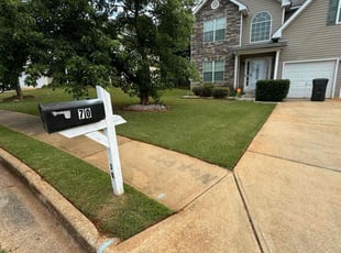 James K.'s landscaping service result