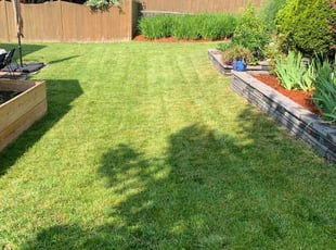 Darsea S.'s lawn care services service result