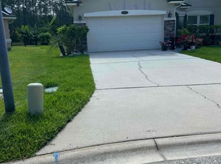 Maggie V.'s grass maintenance service result