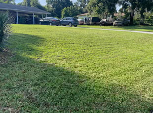 Mike S.'s lawn care service result