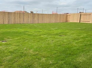 Anthony D.'s grass cutting service result