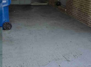 Shawn J.'s Leaf Removal service result