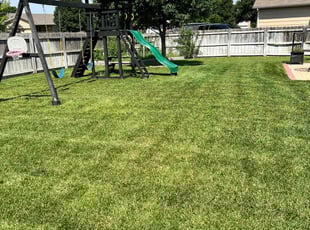 Christina R.'s lawn care services service result