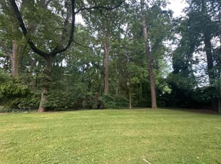 Cheryl B.'s grass maintenance service result