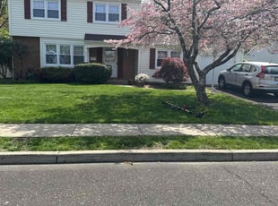 Deborah L.'s grass cutting service result
