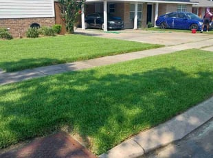 John Y.'s grass cutting service result