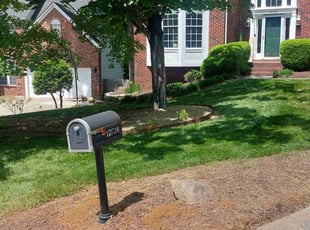 Leslie L.'s turf maintenance service result