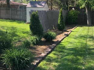 Patty M.'s Cleanups service result
