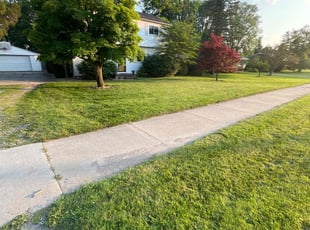 Christian M.'s lawn maintenance service result