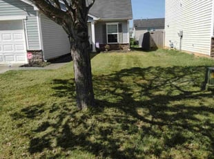 Travis K.'s lawn care service result