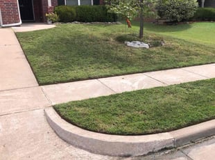 Vanessa M.'s turf care service result