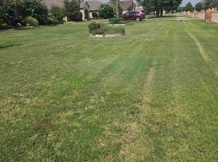 Joanne R.'s turf care service result