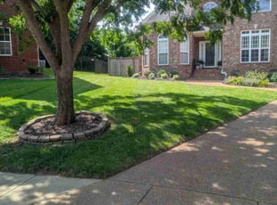 Joseph D.'s landscaping service result