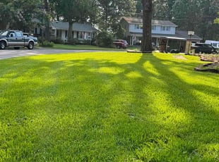 Kaleb c.'s lawn care service result