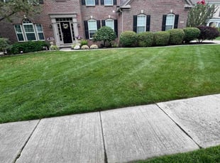 Richard R.'s lawn care service result
