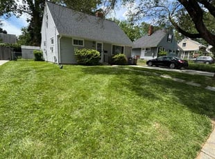 Mea D.'s turf maintenance service result