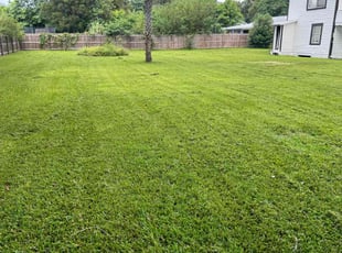 Regan F.'s grass cutting service result