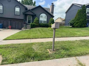 Brendan L.'s turf maintenance service result