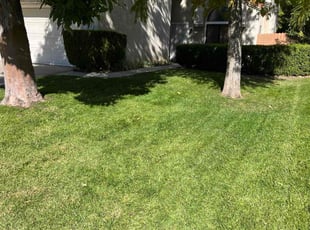 Milton W.'s residential landscaping service result
