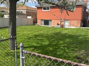 Paige D.'s turf maintenance service result