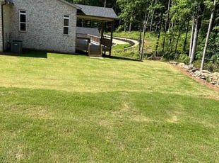 Christopher M.'s lawn care service result