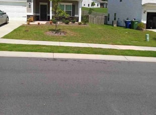 Dominique B.'s lawn service service result