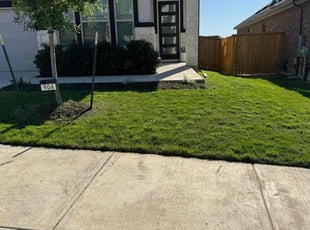 Christopher D.'s grass cutting service result