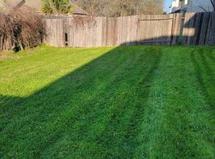 Krystin L.'s lawn maintenance service result