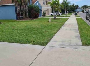 Grace D.'s turf care service result