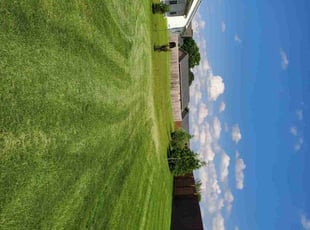 Lamonte T.'s turf maintenance service result