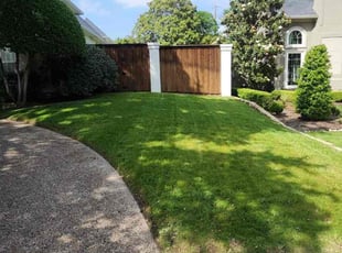 Sarar S.'s lawn care services service result