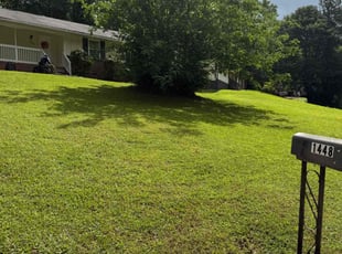 Menolly T.'s grass cutting service result