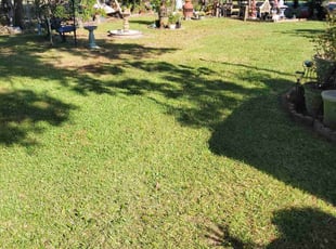 Michael M.'s grass cutting service result