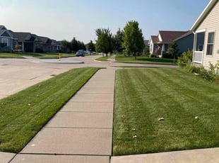 Christina G.'s lawn maintenance service result