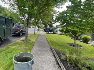 Carol B.'s lawn maintenance service result