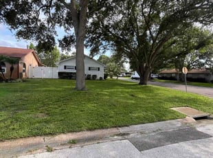 Lashawnda H.'s lawn care service result