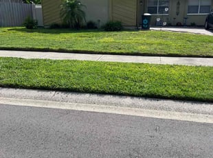 Sparkle W.'s grass maintenance service result