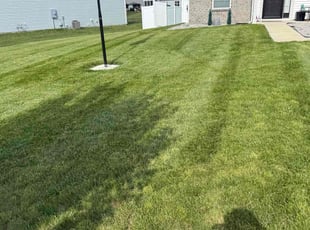 Riley F.'s lawn maintenance service result