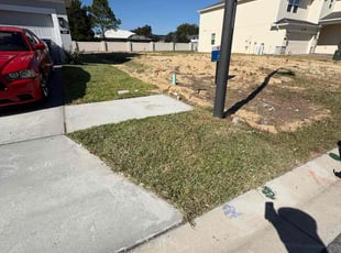 Dan S.'s grass cutting service result