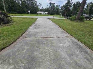 Deborah C.'s lawn care service result