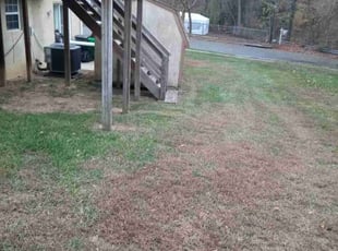 Tony W.'s Leaf Removal service result