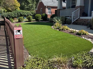 Tricia M.'s Leaf Removal service result