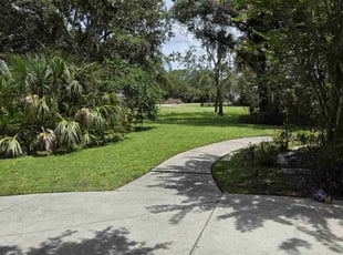 John S.'s lawn care service result
