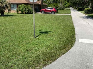 Raymond D.'s turf maintenance service result