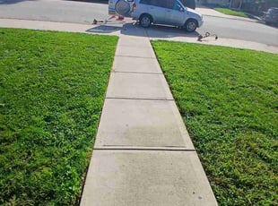 James V.'s lawn care services service result