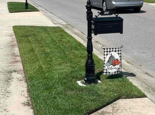 Mary M.'s turf care service result