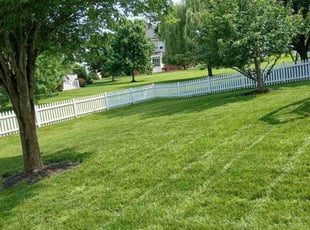 Brandon J.'s grass maintenance service result